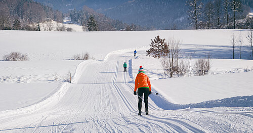 Laungläufer auf Loipe in Winterlandschaft