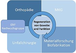 Darstellung Enger Zusammenarbeit von Forschung und Klinik im MCW